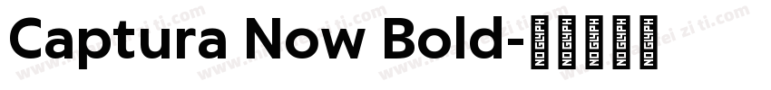 Captura Now Bold字体转换